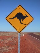 Photo of Kangaroo Sign